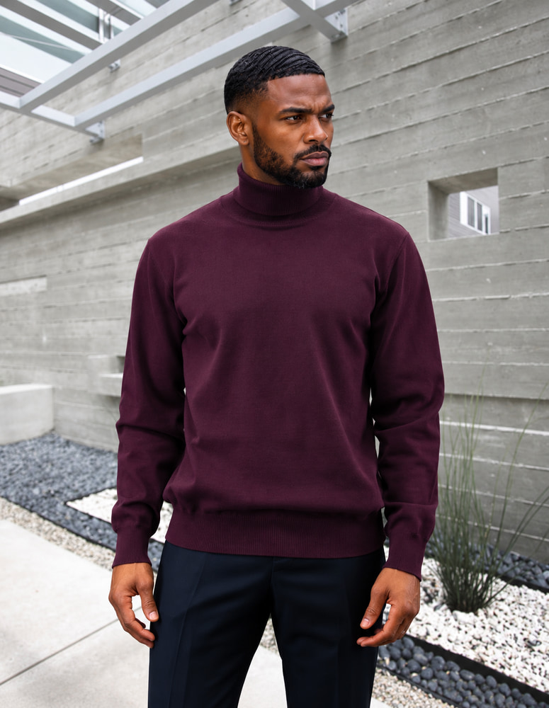 EGGPLANT MODERN FIT TURTLE NECK. WOOL & CASHMERE 