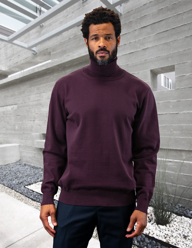 EGGPLANT MODERN FIT TURTLE NECK. WOOL & CASHMERE 