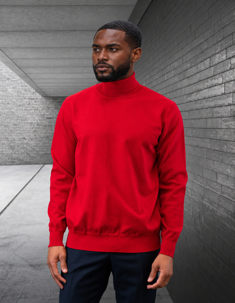 RED MODERN FIT TURTLE NECK. WOOL & CASHMERE  
