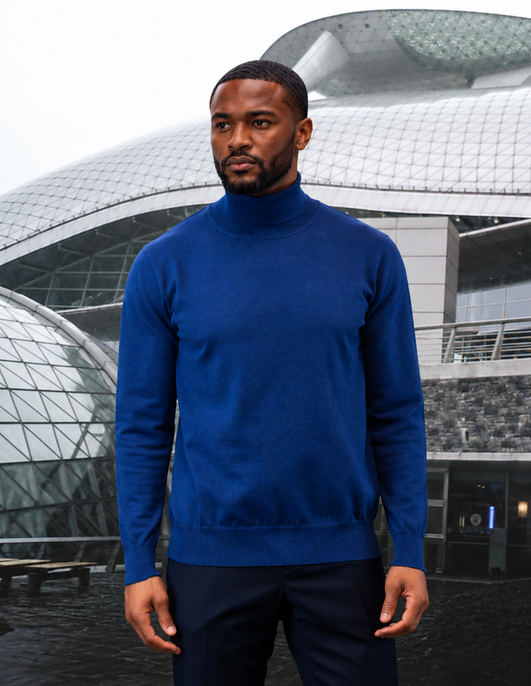 SAPPHIRE MODERN FIT TURTLE NECK. WOOL & CASHMERE   